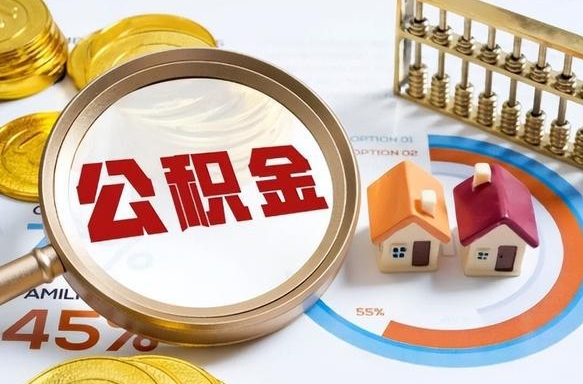 红河公积公提取（2019提取公积金的方法）